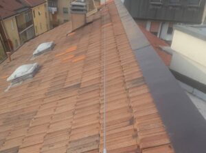 lineavita1